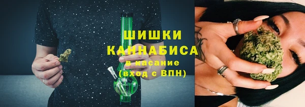 шишки Вязники