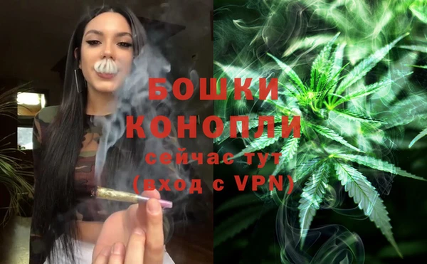apvp Михайлов