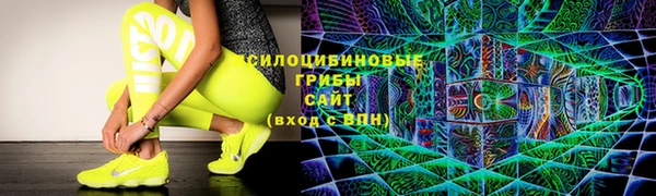 apvp Михайлов