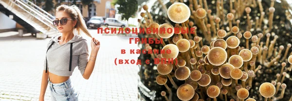 герыч Гатчина