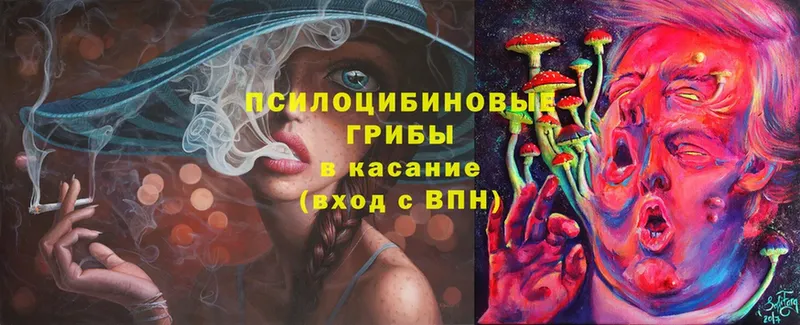 ОМГ ОМГ   Карталы  Галлюциногенные грибы Psilocybe 